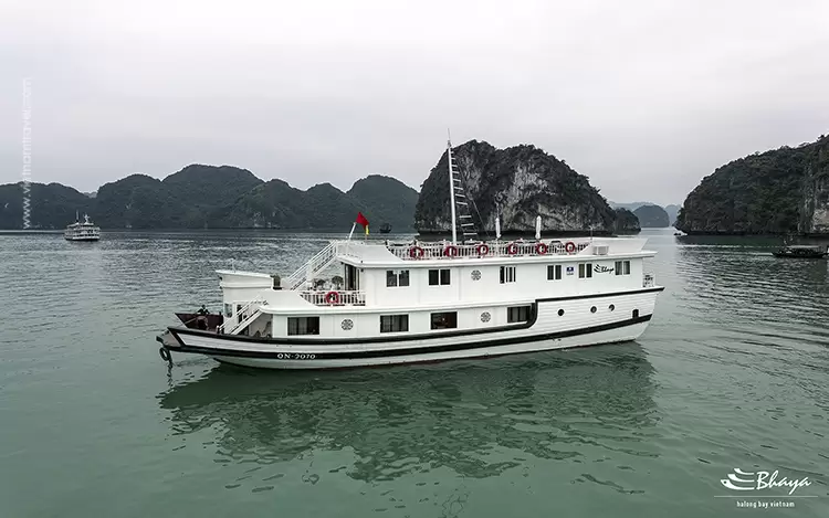Bhaya-Cruise-5
