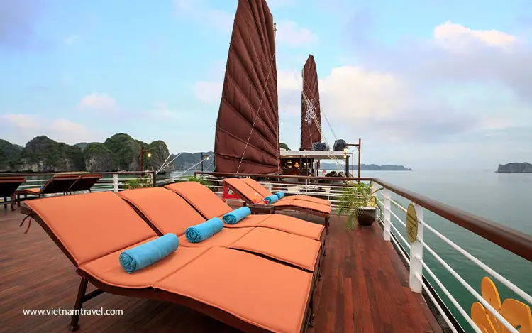 Orchid-Trendy-Cruise-10