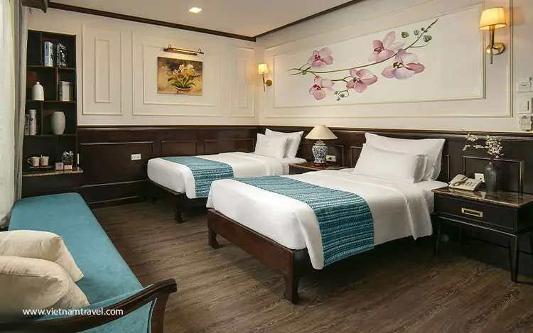 Orchid-Trendy-Cruise-6