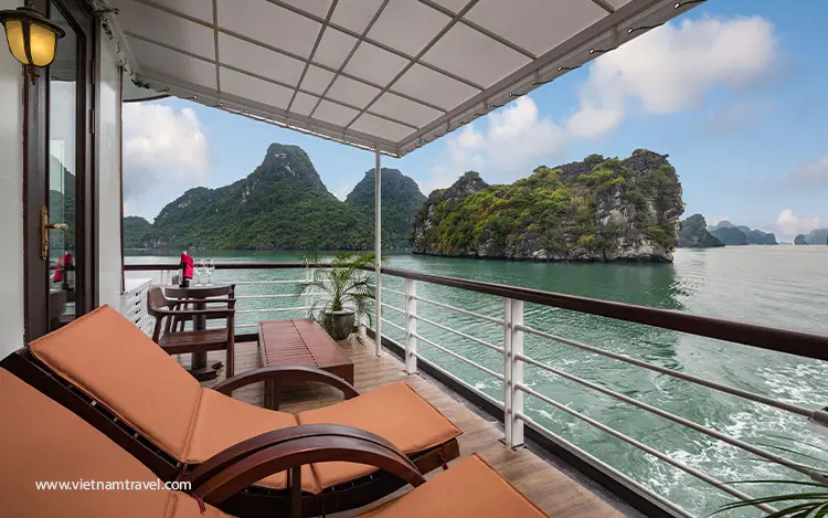 Orchid-Trendy-Cruise-8