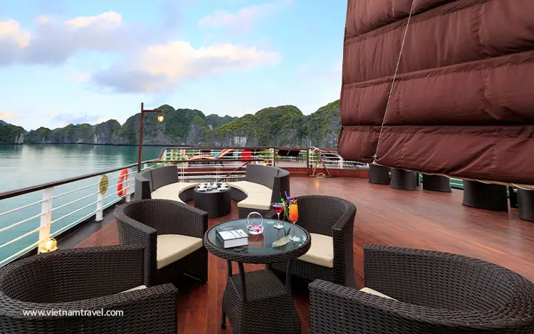 Orchid-Trendy-Cruise-9