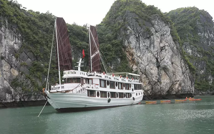 Oriental-Sails-Cruise-7
