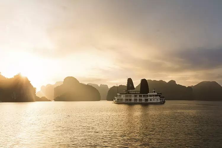 Pelican-Cruise-9