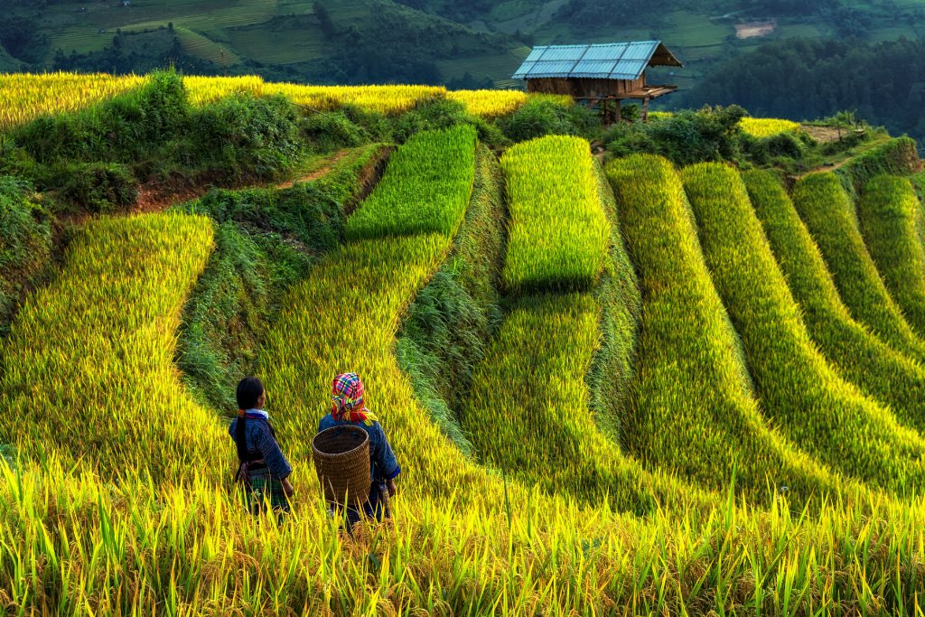 ha-giang-07 (1)