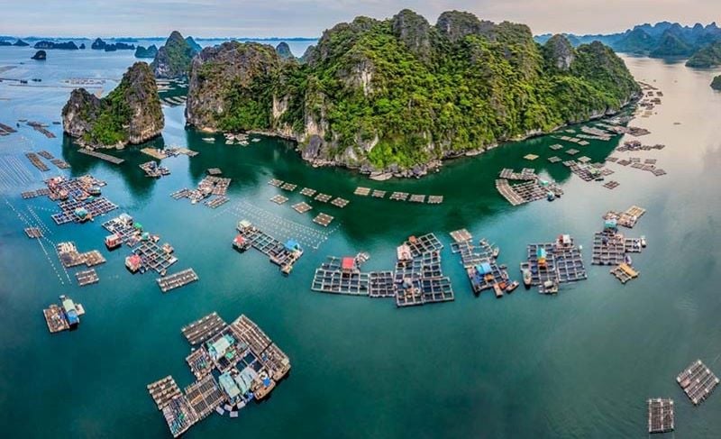 halong-cua-van-floating-village