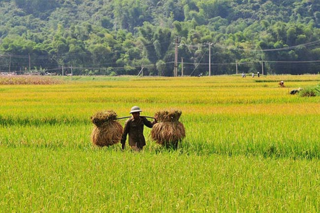 mai-chau-3