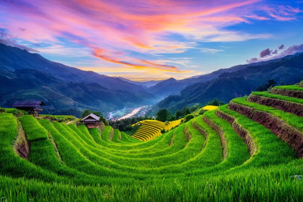 sapa