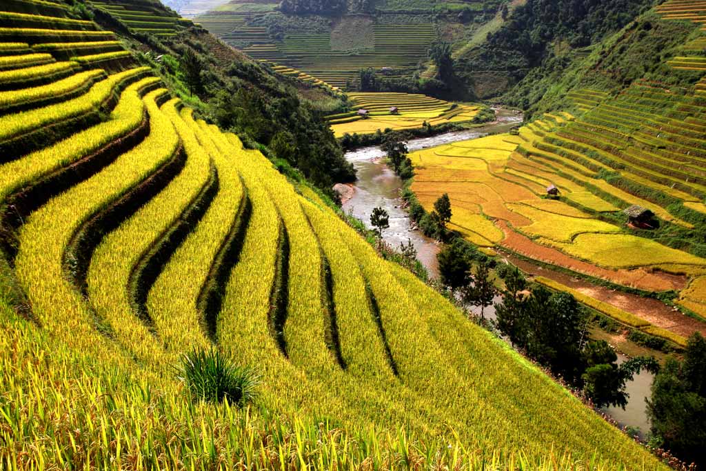 vietnam-sapa-02