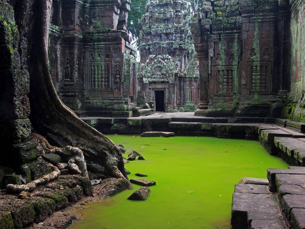 ta-prohm-temple-cambodia
